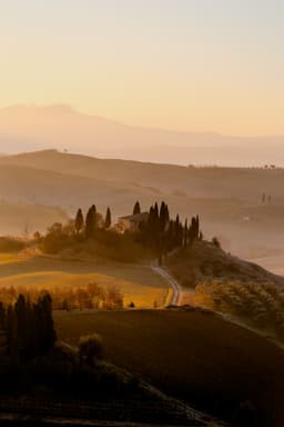 The Regions of Olive Oil in Italy