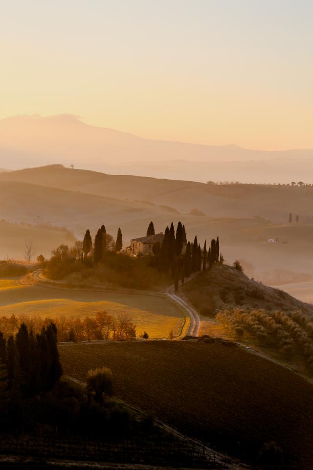 The Regions of Olive Oil in Italy